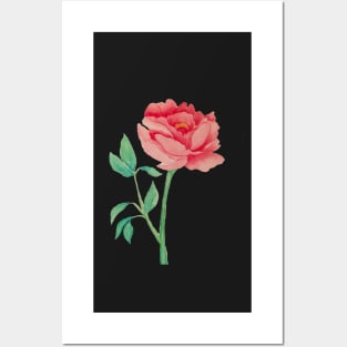 peony stickers Posters and Art